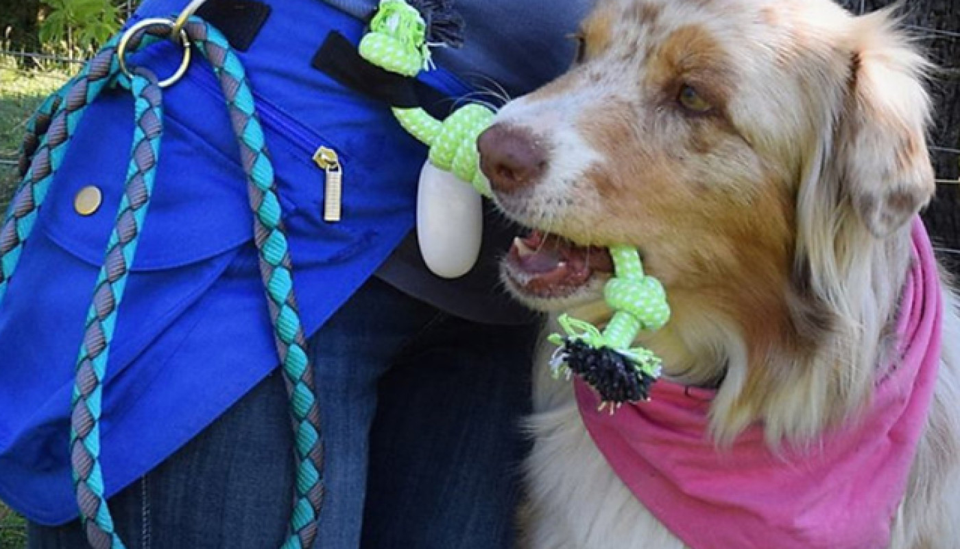 Accessoires - Pour vos sessions d’éducation canine, utilisez le sac ceinture Laboa !